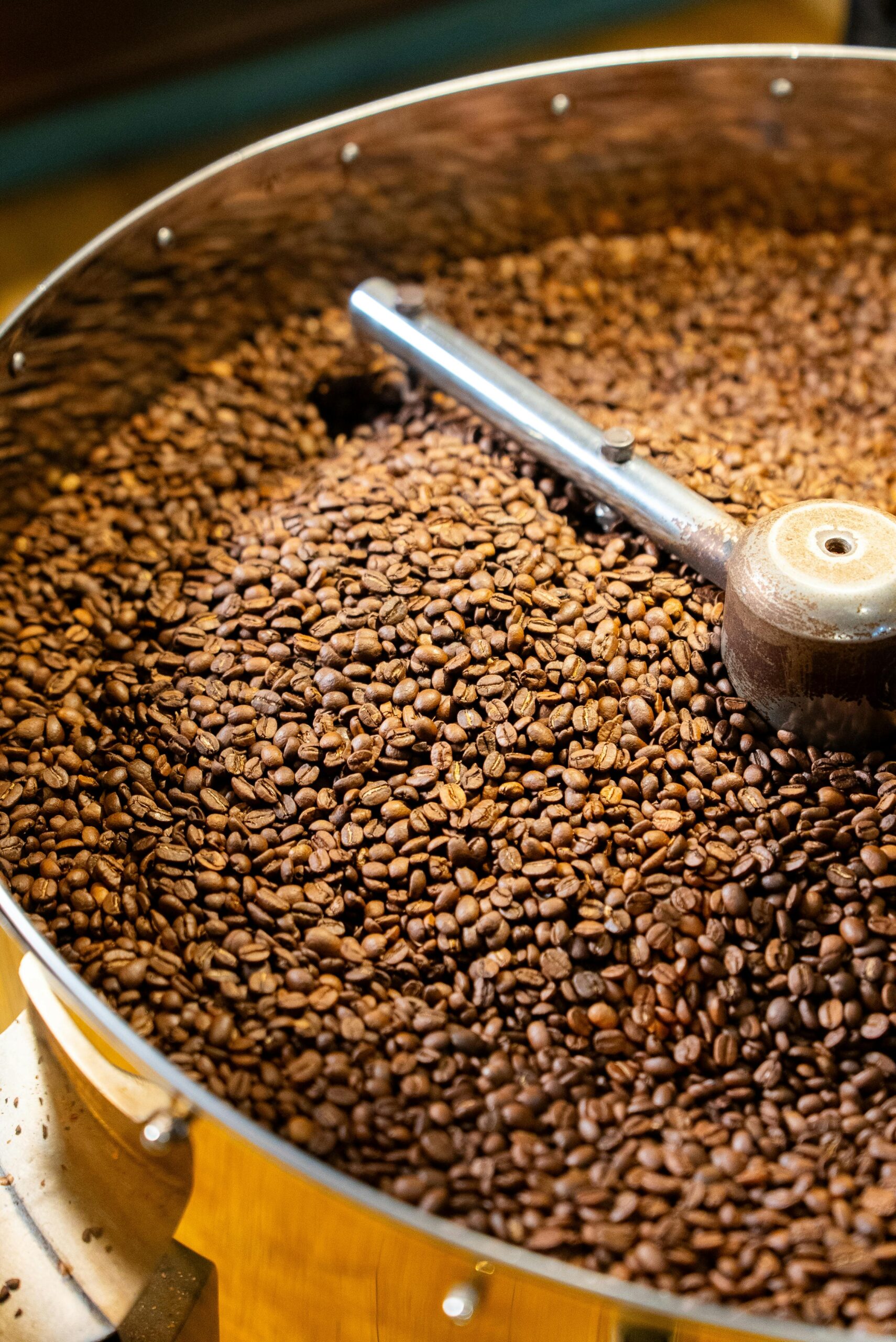 Close-up of freshly roasted coffee beans in a metal roaster, captured indoors.